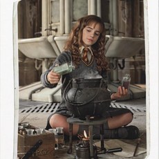 해리포터 클래식 영화 호그와트 페인팅 크로스 아트 퍼즐 모자이크 자수 홈 데코 신상품, 1개, 6. 6