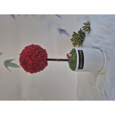 공기정화식물 스칸디아모스 원형 화분 토피어리 개업 집들이 각종 선물 추천 받는 분이 만족도 좋음, 사용안함, 레드