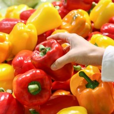 신선 달큰한 아삭한 파프리카 국내산 파프리카, 1박스, 1kg 혼합사이즈