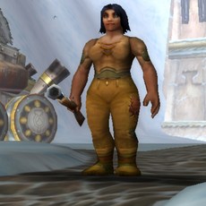 魔獸335外網手工端 - 精修高修復版系列，含外網搭建教程, 1個