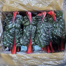 클릭마켓 국내산 적근대, 1개, 2kg