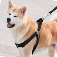 해들이추천샵 대형견리드줄 대형견 목줄/하네스/리드줄 XS 블랙