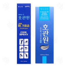 호관원 뿌리는 마그네슘 쿨 스프레이 + 호관원 쿨겔, 1세트, 2개입