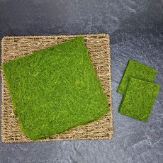 국내산 고급 생 감태, 10장