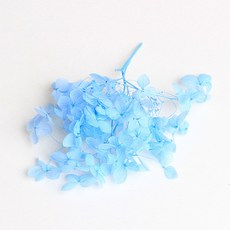 화연양화 프리저브드플라워 수국 1g 30색, 19 스카이