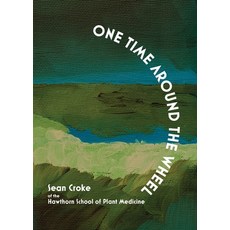 (영문도서) One Time Around the Wheel Paperback, Revelore Press, English, 9781947544413