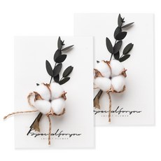 라솔트 프리저브드 플라워 카드 + 투명 케이스 세트, 코튼, 2개