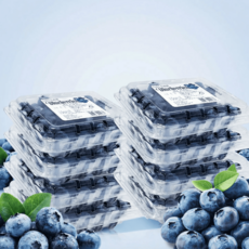 슈퍼푸드 생 블루베리 14-16mm내외 칠레/미국/캐나다, 8개, 125g