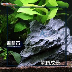 AC草影 青龍石 水族箱造景石材, 1個