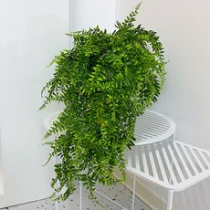 亞馬遜仿真壁掛波斯草藤條，人造懸掛蕨類植物藤蔓，綠色植物壁掛裝飾，打造清新居家風格, 1個, 波斯草壁掛