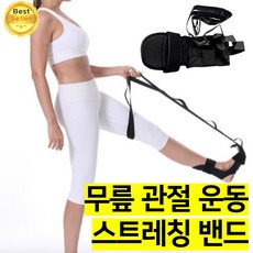 쎄네핏 무릎관절운동기구 고관절운동기구 무릎재활운동기구 밴드, 1개, 검정