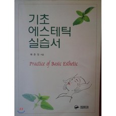 기초에스테틱실습서, 정담, 예춘정
