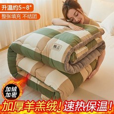 加厚羊羔絨保暖被芯 - 冬季單人/雙人被胎, 【新款升級】-加絨速暖冬被【宜人格調-綠,60*110cm【小號-顏色隨機】