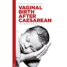 (영문도서) Vaginal Birth After Caesarean: The Vbac Handbook Paperback, Pinter & Martin Ltd, English, 9781905177240