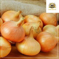 국내산 양파 무안 아삭아삭 양파, 1개, 양파 소 5kg