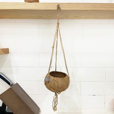 대성식물 행잉 걸이 코코넛 화분 코코다마, 4. M, 1개