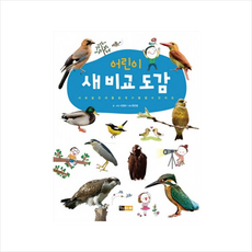 어린이 새 비교도감, 진선아이