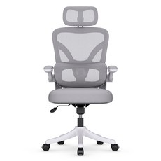 파라이프 허리에 좋은 책상 컴퓨터 의자 공부 학생 회의실 의자, 그레이