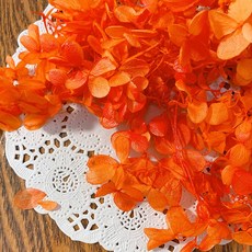 VITO zakka 木繡球永生花DIY乾燥花植物浮游花材花藝材料包拍攝道具DIY創作花材20g, 夕陽(橙色噴上微量紅)(現貨)