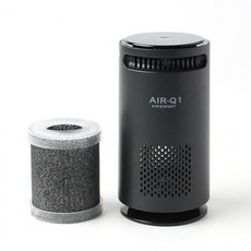 에어큐원 차량용 공기청정기 필터 (GTS75350), 단일상품1, 단일상품0