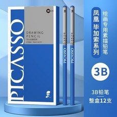 素描鉛筆 鳳凰畢卡索美術鉛筆炭筆初學者素描工具2b4b14b12b軟中硬鉛筆碳筆, 1個, 畢卡索【3B鉛筆】整盒12支