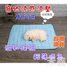 Q貝比 寵物涼墊 冰絲涼感墊 寵物散熱墊 降溫墊, 1個