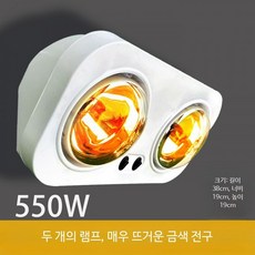 벽걸이형 욕실온열등 방수 욕실난방기히터기 화장실건조 전기히터, 골드 2m전선 누전방지
