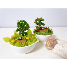 [이브닝메종] 스칸디아모스 깜댕이숲 미니 화분, 1개, 레드