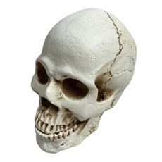 萬聖節骷髏頭骨造型擺件 - 恐怖氣氛裝飾，萬聖節派對必備，個性化居家擺飾, 灰色分離款