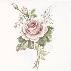 장미 4컷 냅킨 5장 K-23-020