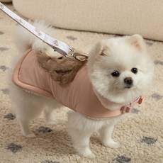 베일리펫 강아지 겨울 패딩 하네스옷 테디 포켓 망토, 1개, 핑크