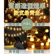 LED造型燈 圓球燈 雪花燈 星星燈 夾子燈 ins風 聖誕節 房間裝飾 銅線燈 造型燈串 窗簾燈 - 台灣現貨 天天出貨, 1個, 【夢幻雪花燈】,1000公分-USB款（長亮）