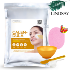 린제이 모델링팩 카렌듈라 1kg 팩도구 해면 올인원 4종 세트, 1개, 1개입