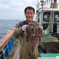 바다의 폭군! 국내산 자연산 당일경매 생물 손질 아구 아귀, 1개, 손질 후 3~3.5kg 내외