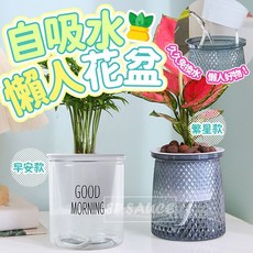 自吸水花盆 園藝水耕盆栽 【繁星款】懶人花盆 CY405, 1個, 【繁星款】懶人花盆 CY405