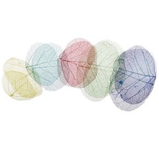 HAIMINGJUN DIY 스크랩북 앨범 및 카드 제작용 모듬 드라이플라워 10개입, 나비 잎, 25mm-8cm, 나비 잎