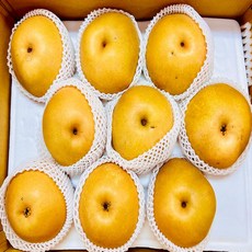 농부곳간 나주 햇배 나주배 신고배 과일 배 선물세트, 1박스, 나주배 2kg 가정용 3-5과