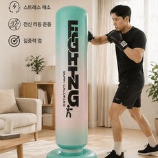 BIKASU 가정용 실내 피트니스 복싱 에어 샌드백 격투기 훈련 펀치볼+발펌프 세트, 블루