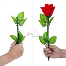 JL매직 없어졌던 꽃봉오리가 다시 나타나는 마술 다시피어나는장미 (Reblossom Rose) *실크 미포함, 1개