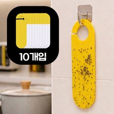 스마트덕 슬림형 초파리 트랩 끈끈이, 1세트, 10개입
