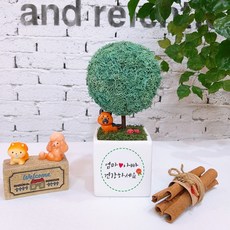 스마일컴퍼니 스칸디아모스 이끼나무 빅큐브 꽃트리 5월트리 어버이날 스승의날 승진 생일 개업 축하 선물 인테리어 공기정화식물 핸드메이드, 1개