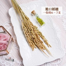 極度花燥 金色稻穗, 【進口稻穗】,一份約6 ~ 7支