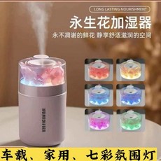 永生花加濕器 家用臥室 辦公室 空調房 水氧機 香薰機 熏香機 自動噴香 交換禮物 桌面小型補水保濕噴霧器, 粉色七彩加濕器[180毫升]