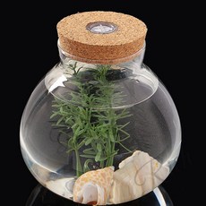 RC 마리모키우기 마리모 LED 코르크 유리병