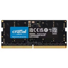 마이크론 Crucial 노트북 DDR5-5600 CL46 대원씨티에스 (16GB), 1개