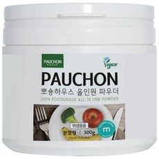 뽀숑하우스 올인원파우더 300g 과일 야채 젖병 식기세척기 세제 소량 체험, 1개