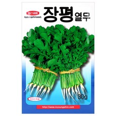 세인화분 장평 열무 30g - 씨 씨앗 열무씨 열무씨앗 채소 야채, 1개