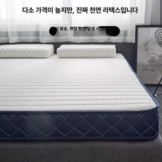 라지킹토퍼 흙침대용토퍼 메모리폼 바닥이불 무너지지, 1cm, 단면-블루 엘리펀트 10cm