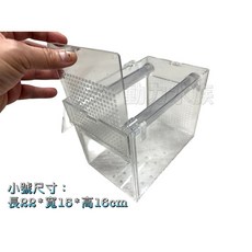 自浮式隔離盒 自浮式養殖盒 隔離盒 孵化盒 養殖箱 隔離箱, 1個, 小號