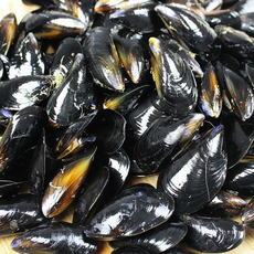 [청정해역산] 바다 향 가득 싱싱함 그대로 다듬이 홍합, 1개, 다듬이 홍합 2kg